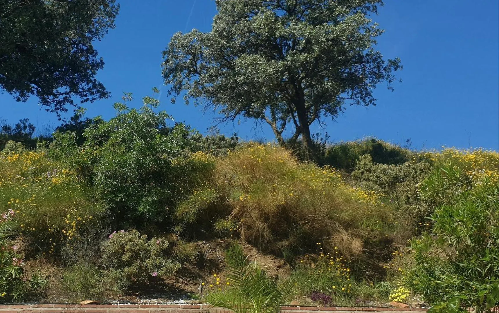 Holiday home Cortijo Los Caballos Sedella